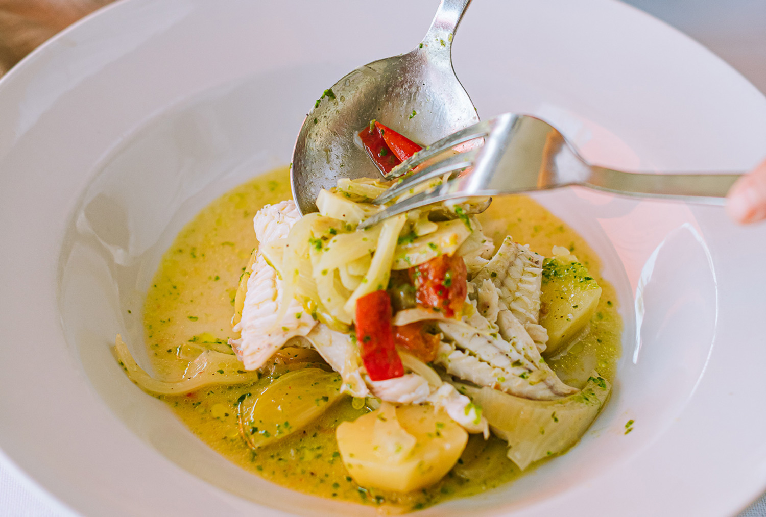 Pesce bianco sfilettato con finocchi, patate e peperone rosso in brodo alle erbe, servito in un piatto fondo bianco